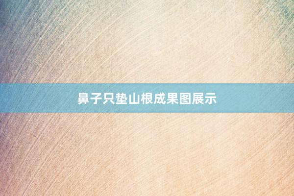 鼻子只垫山根成果图展示