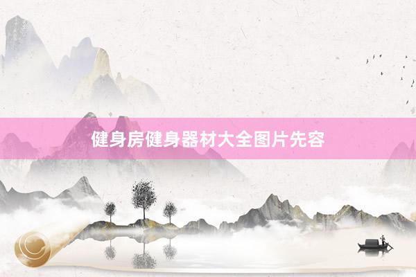 健身房健身器材大全图片先容